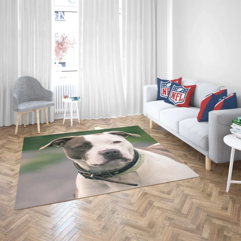 The Pit Bull Presence: American Pit Bull Terrier Quartet Floor Rug 2