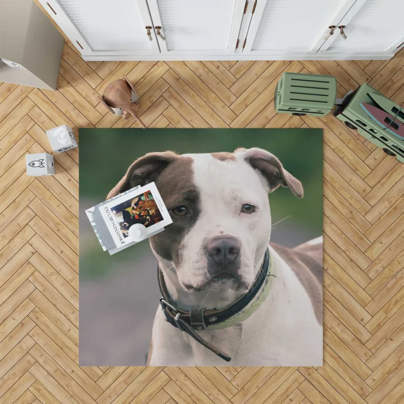 The Pit Bull Presence: American Pit Bull Terrier Quartet Floor Rug