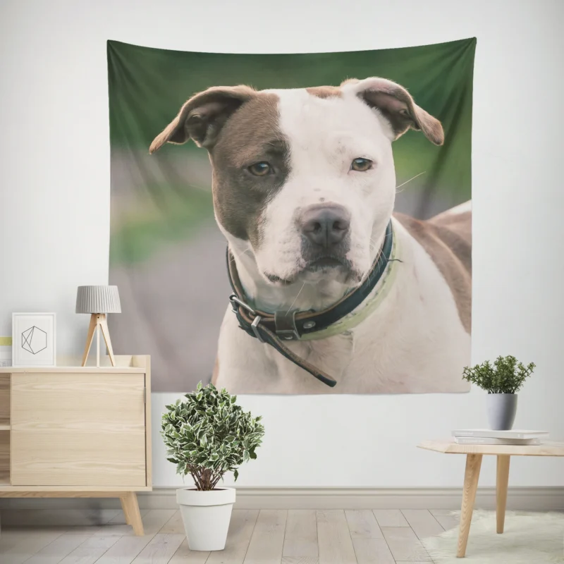 The Pit Bull Presence  American Pit Bull Terrier Quartet Wall Tapestry