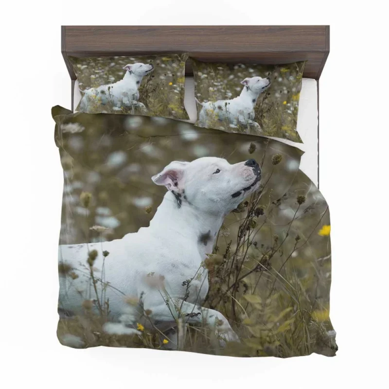 The Playful and Adorable Bull Terrier: Bull Terrier Bedding Set 1