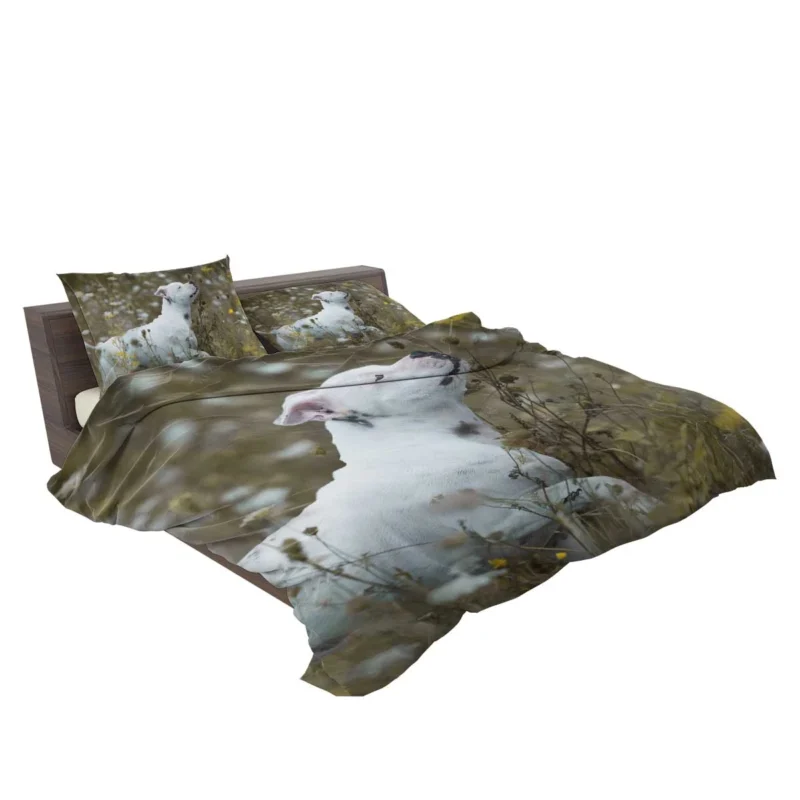 The Playful and Adorable Bull Terrier: Bull Terrier Bedding Set 2