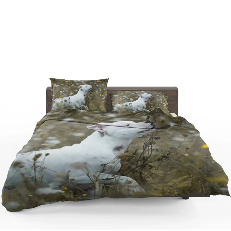 The Playful and Adorable Bull Terrier: Bull Terrier Bedding Set