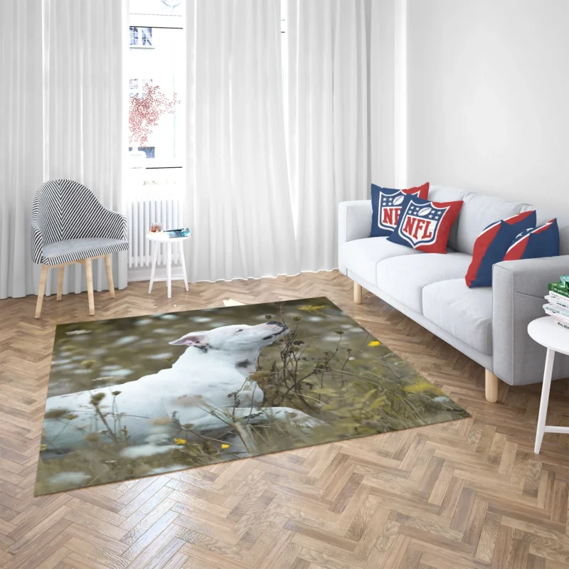 The Playful and Adorable Bull Terrier: Bull Terrier Floor Rug 2