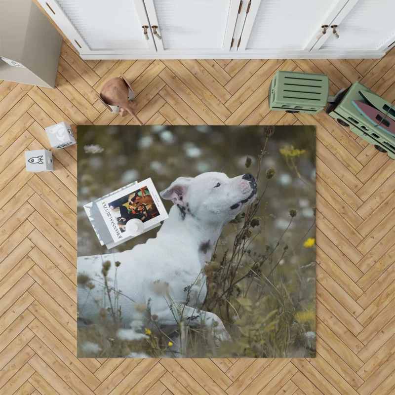 The Playful and Adorable Bull Terrier: Bull Terrier Floor Rug