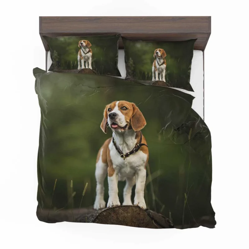 The Playful and Friendly Beagle: Beagle Bedding Set 1