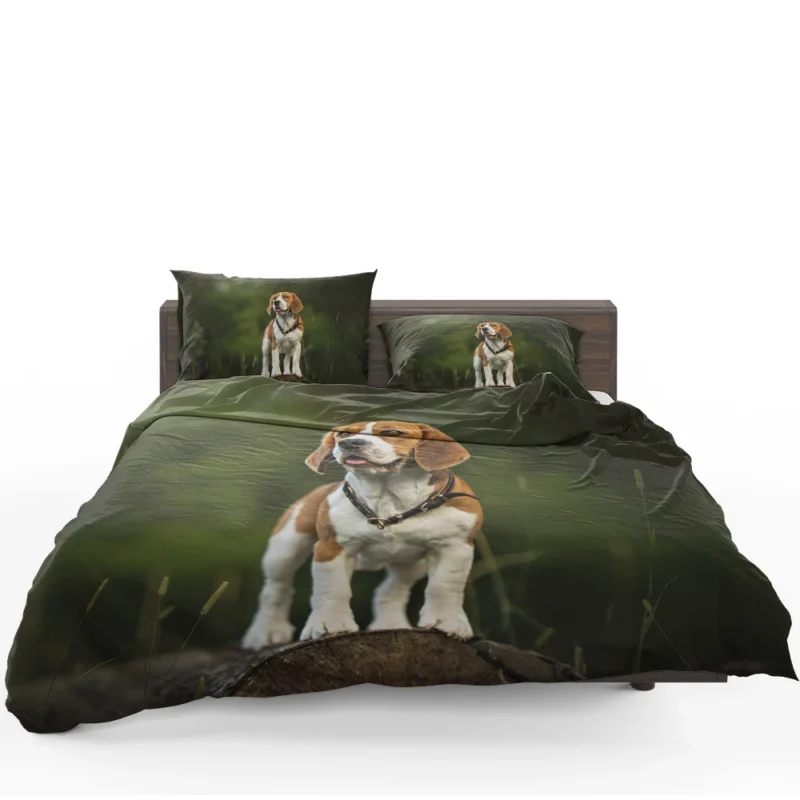 The Playful and Friendly Beagle: Beagle Bedding Set