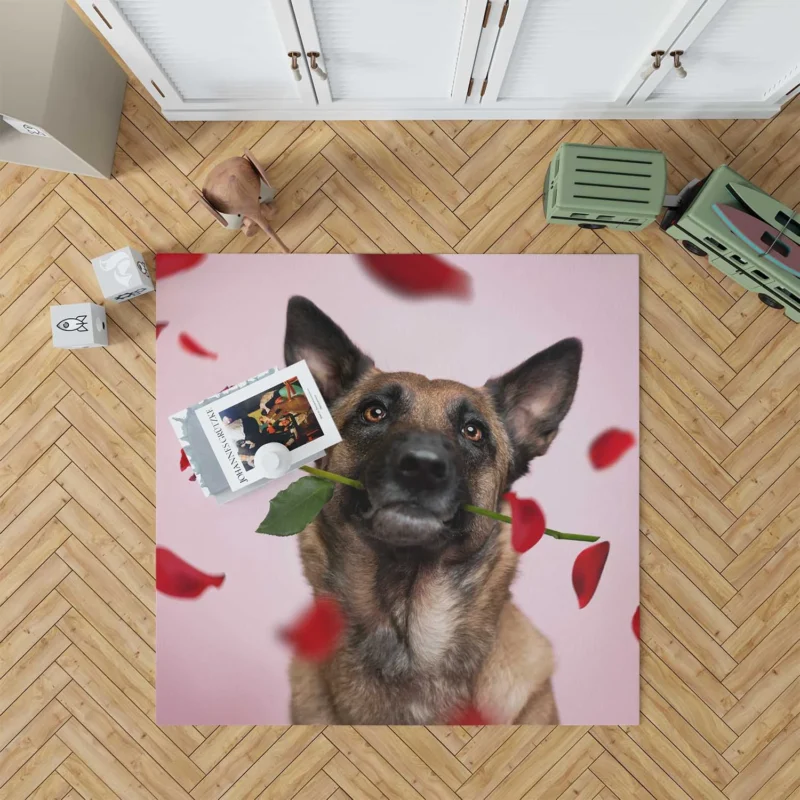 The Versatile Belgian Shepherd: Belgian Shepherd Floor Rug