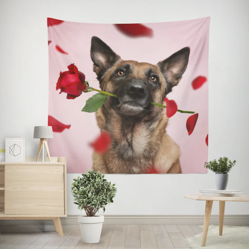 The Versatile Belgian Shepherd  Belgian Shepherd Wall Tapestry