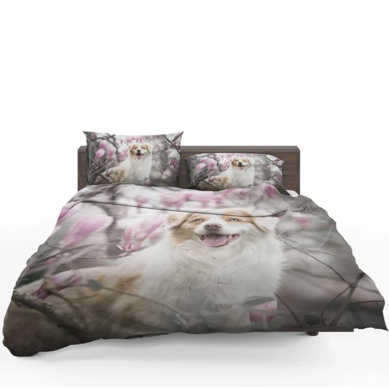 The Versatile and Energetic Breed: Australian Shepherd Bedding Set