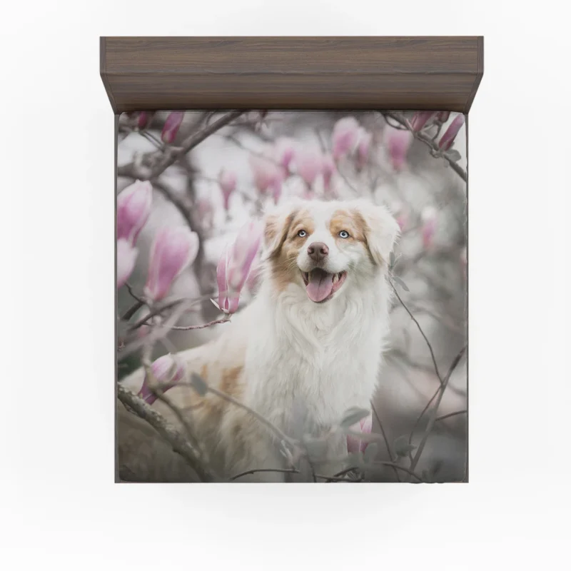 The Versatile and Energetic Breed: Australian Shepherd Fitted Sheet