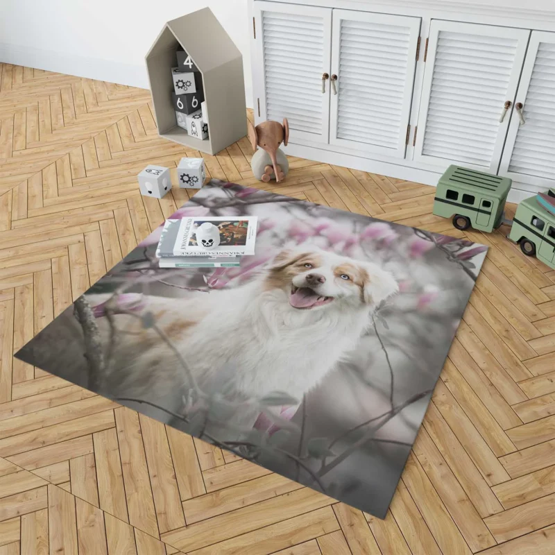 The Versatile and Energetic Breed: Australian Shepherd Floor Rug 1