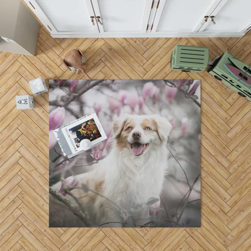 The Versatile and Energetic Breed: Australian Shepherd Floor Rug