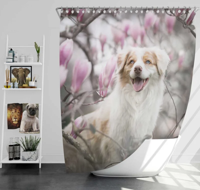 The Versatile and Energetic Breed: Australian Shepherd Shower Curtain