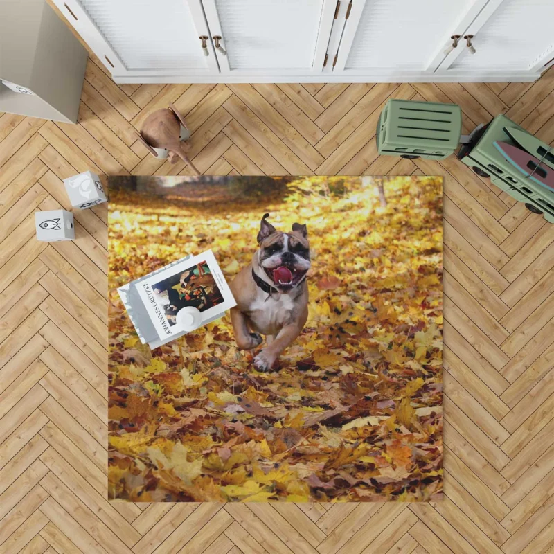 Timeless Bulldog Beauty: Bulldog Quartet Floor Rug