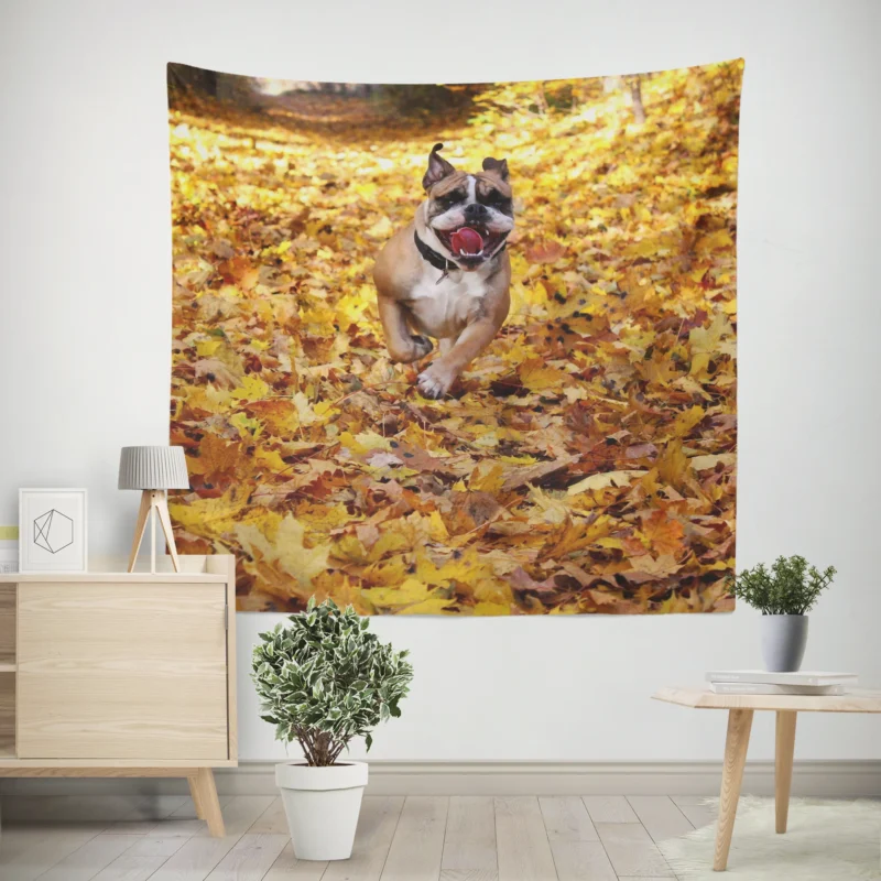 Timeless Bulldog Beauty  Bulldog Quartet Wall Tapestry