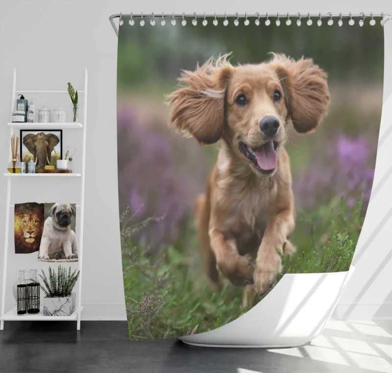 Timeless Elegance: Splendid Spaniel Quartet Shower Curtain