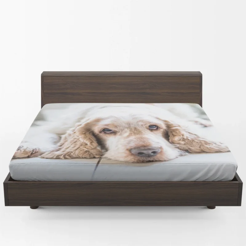 Timeless Spaniel Beauty: Cocker Spaniel Quartet Fitted Sheet 1