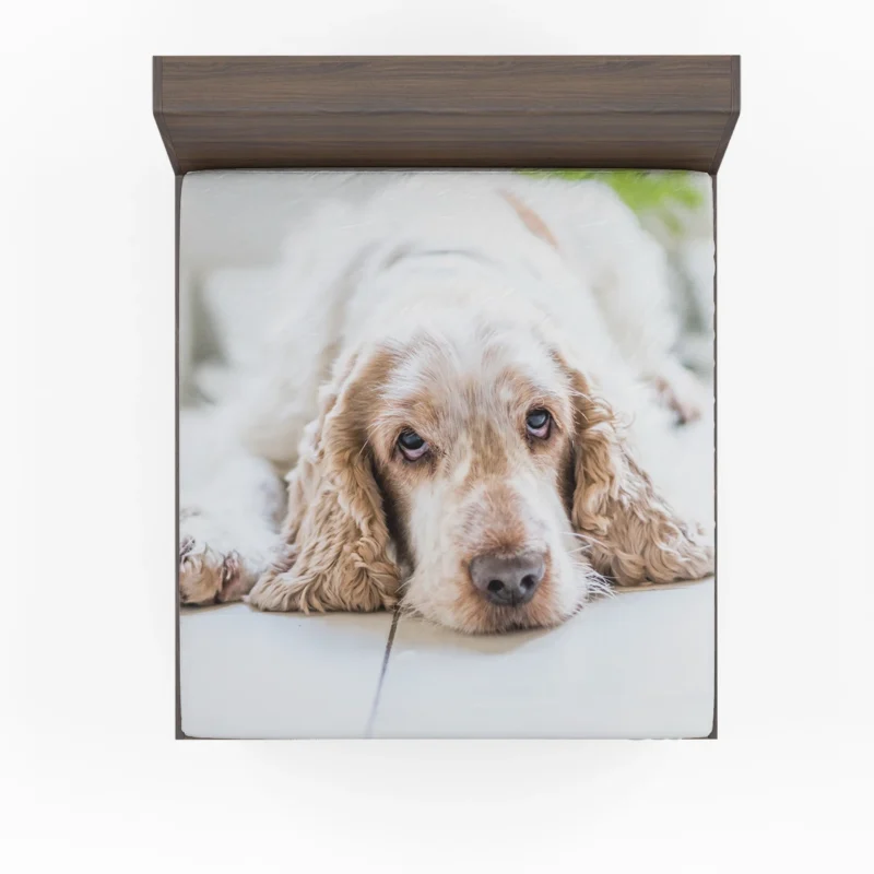 Timeless Spaniel Beauty: Cocker Spaniel Quartet Fitted Sheet