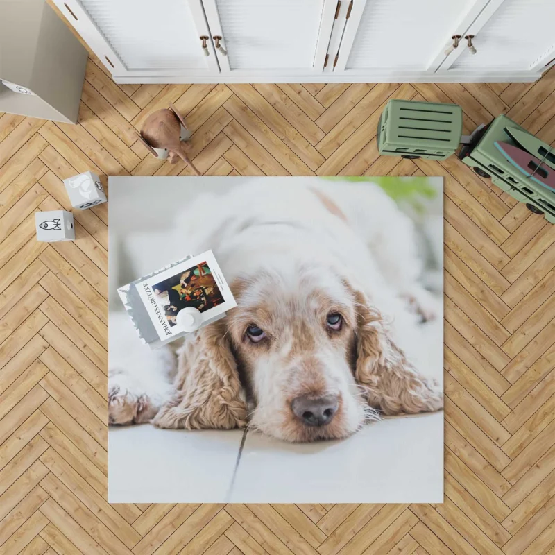 Timeless Spaniel Beauty: Cocker Spaniel Quartet Floor Rug