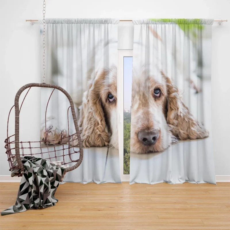 Timeless Spaniel Beauty: Cocker Spaniel Quartet Window Curtain