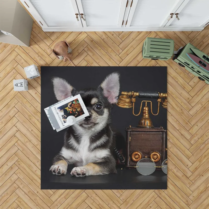 Tiny Treasures: Chihuahua Quartet Floor Rug