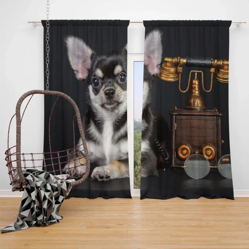 Tiny Treasures: Chihuahua Quartet Window Curtain