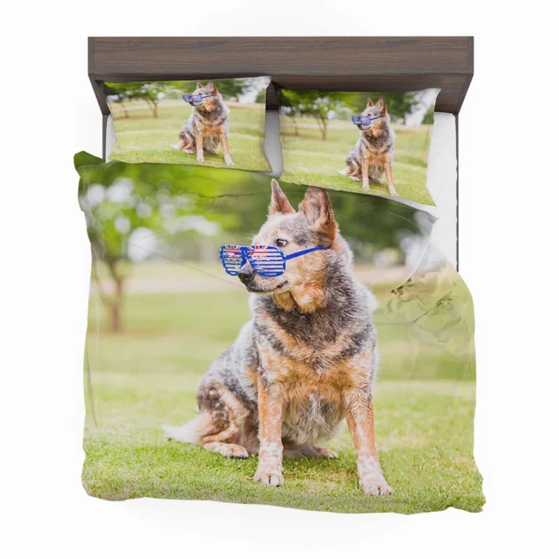 Transforming into an Aussie Look: Australian Cattle Dog Bedding Set 1