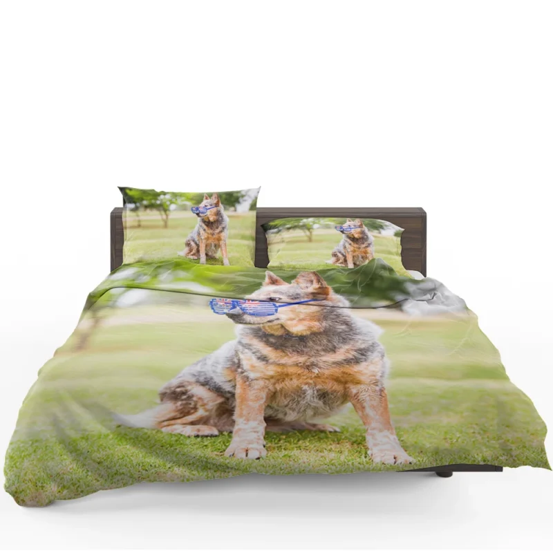 Transforming into an Aussie Look: Australian Cattle Dog Bedding Set