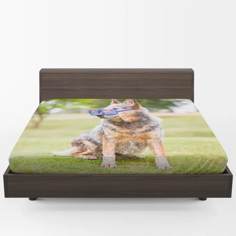 Transforming into an Aussie Look: Australian Cattle Dog Fitted Sheet 1
