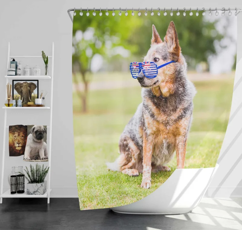 Transforming into an Aussie Look: Australian Cattle Dog Shower Curtain