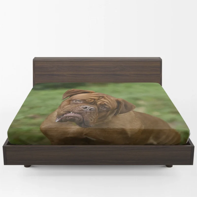 Turner & Hooch - Dogue de Bordeaux from TV Show: Quartet Fitted Sheet 1