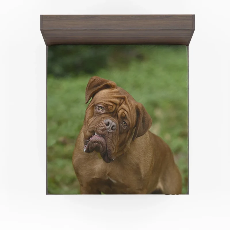 Turner & Hooch - Dogue de Bordeaux from TV Show: Quartet Fitted Sheet