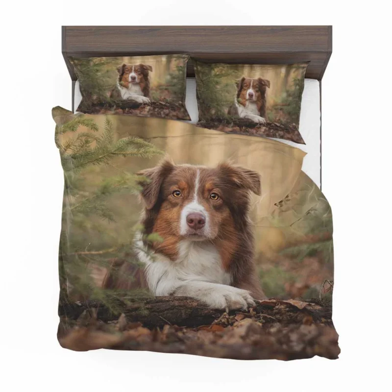 Versatile Canine Companion: Australian Shepherd Bedding Set 1