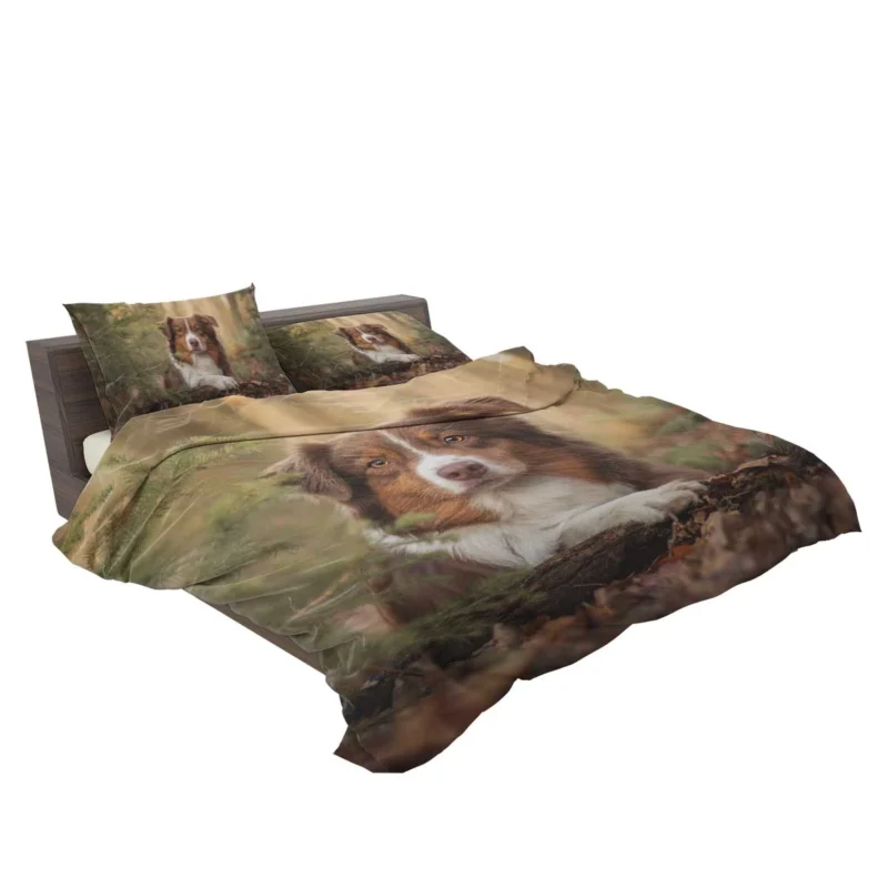 Versatile Canine Companion: Australian Shepherd Bedding Set 2