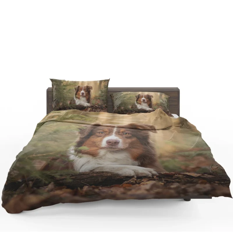 Versatile Canine Companion: Australian Shepherd Bedding Set