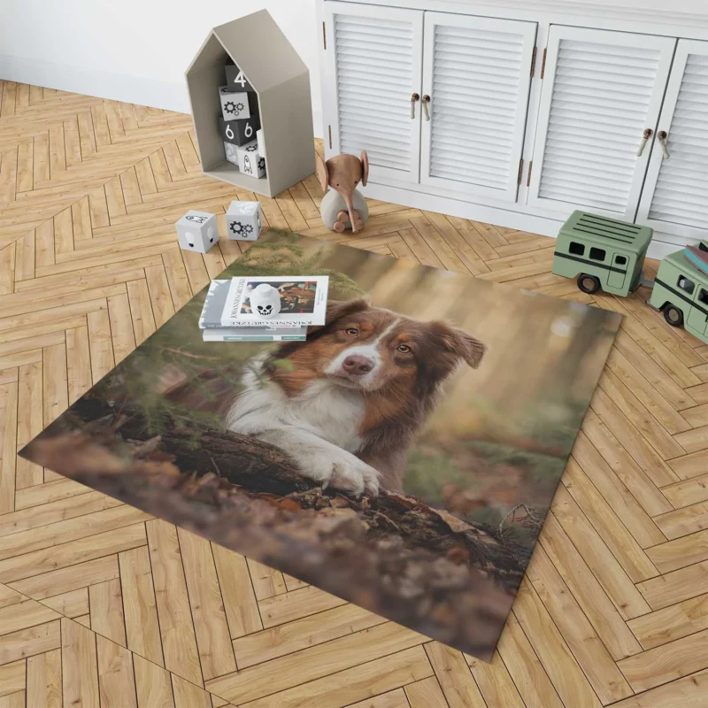 Versatile Canine Companion: Australian Shepherd Floor Rug 1