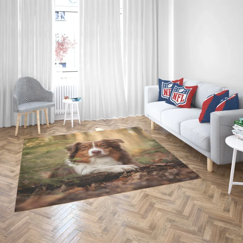 Versatile Canine Companion: Australian Shepherd Floor Rug 2