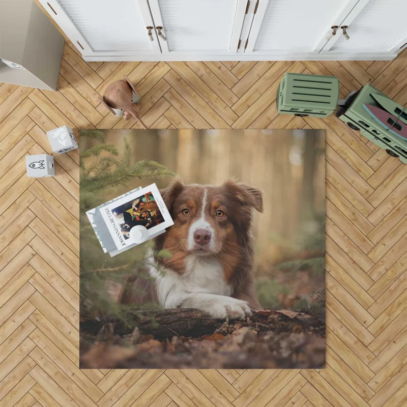 Versatile Canine Companion: Australian Shepherd Floor Rug