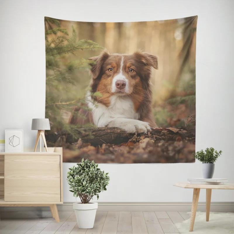 Versatile Canine Companion  Australian Shepherd Wall Tapestry