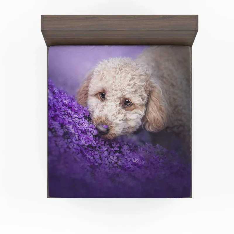 Vibrant Blooms: Poodle Quartet Fitted Sheet