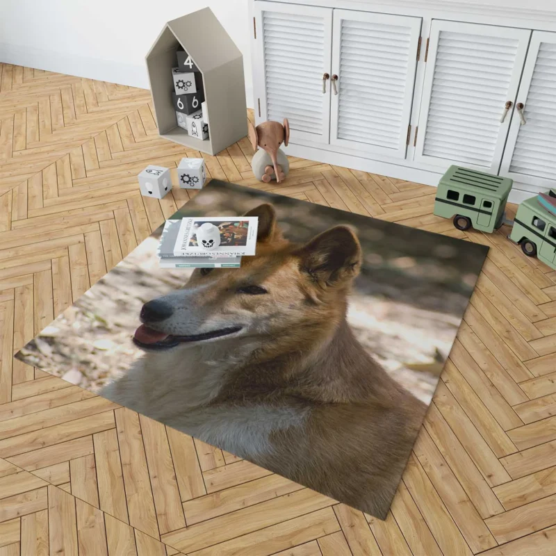 Wild Dingo with Muzzle: Dingo Quartet Floor Rug 1