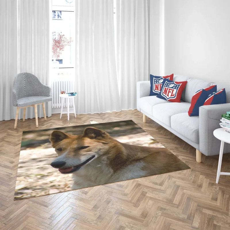 Wild Dingo with Muzzle: Dingo Quartet Floor Rug 2