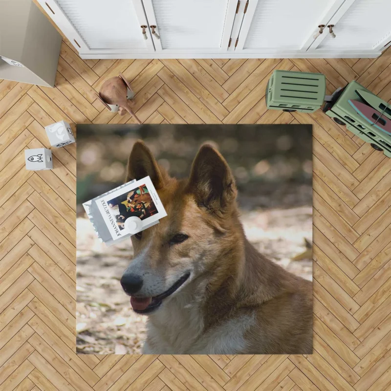 Wild Dingo with Muzzle: Dingo Quartet Floor Rug