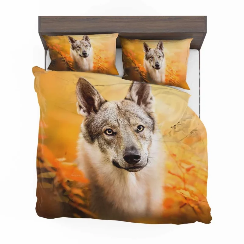 Wilderness in Their Eyes: Wolfdog Quartet Bedding Set 1