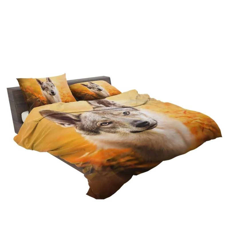 Wilderness in Their Eyes: Wolfdog Quartet Bedding Set 2