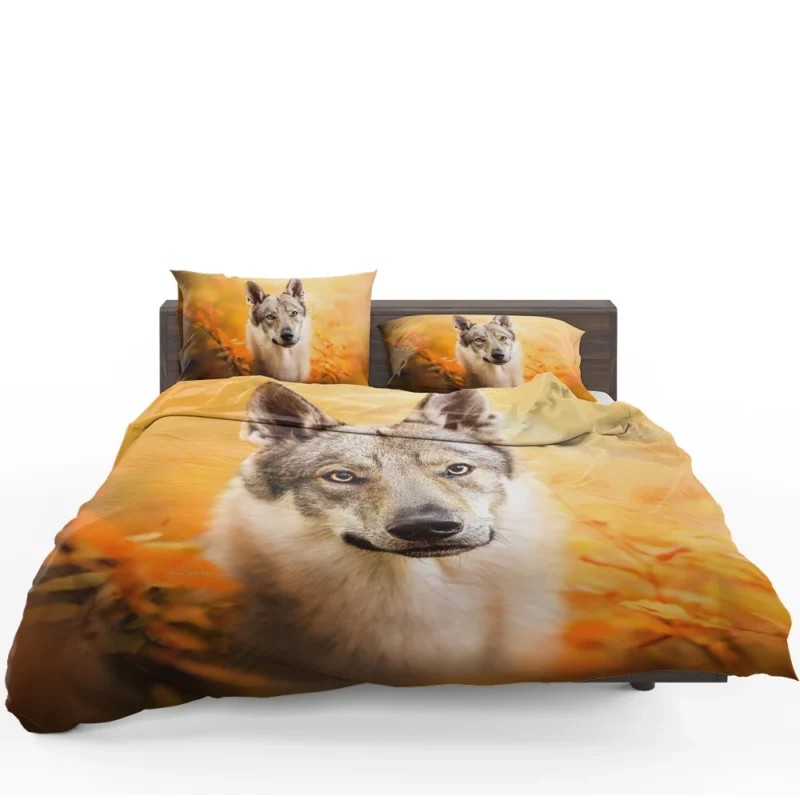 Wilderness in Their Eyes: Wolfdog Quartet Bedding Set