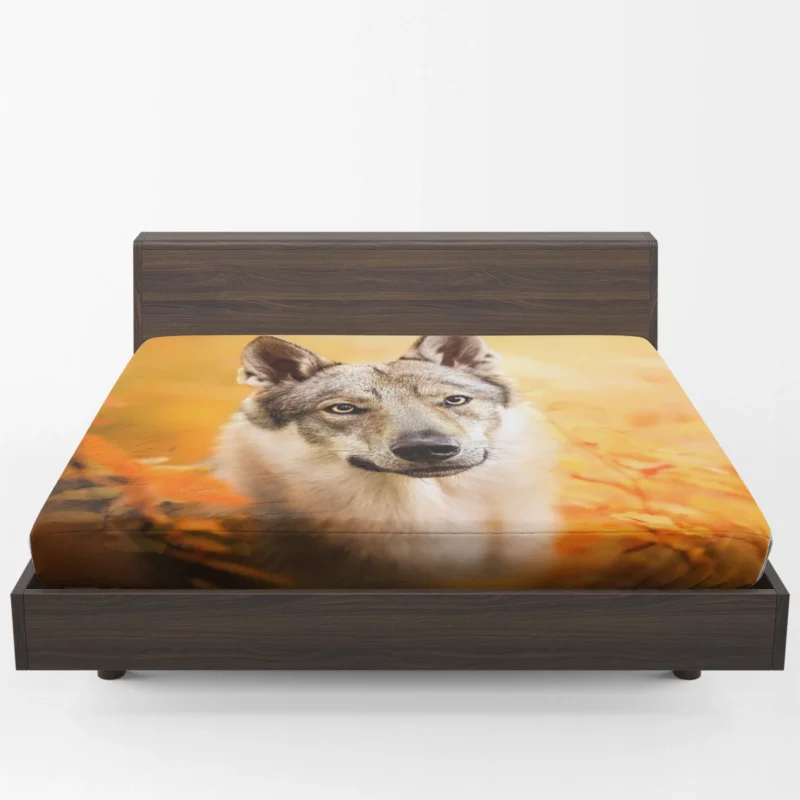 Wilderness in Their Eyes: Wolfdog Quartet Fitted Sheet 1