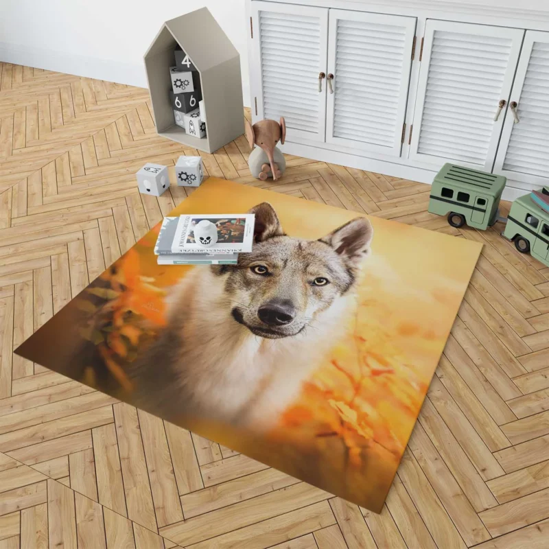 Wilderness in Their Eyes: Wolfdog Quartet Floor Rug 1