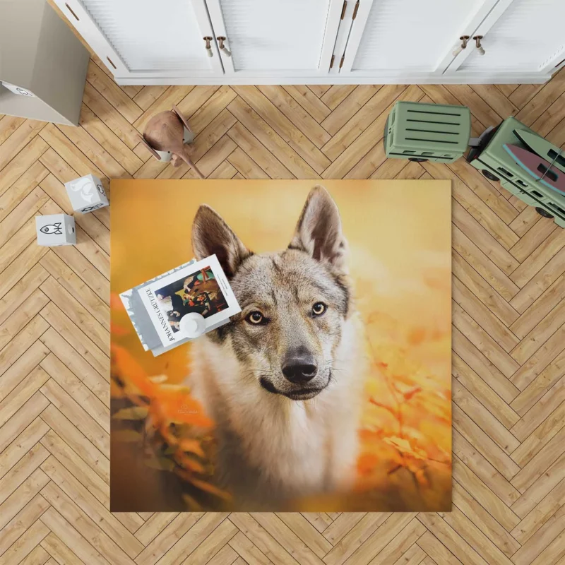 Wilderness in Their Eyes: Wolfdog Quartet Floor Rug