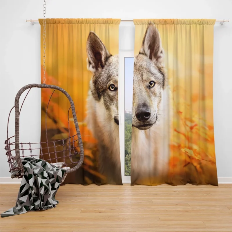 Wilderness in Their Eyes: Wolfdog Quartet Window Curtain